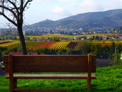 Herbst in Neustadt